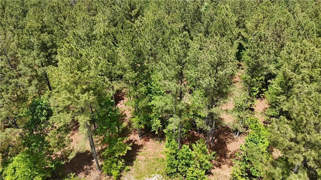 Image 79 of property listing at 00001 Wilson Road, Temple, GA 30179