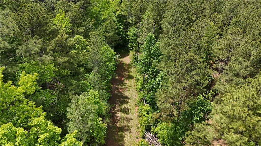 Image 80 of property listing at 00001 Wilson Road, Temple, GA 30179