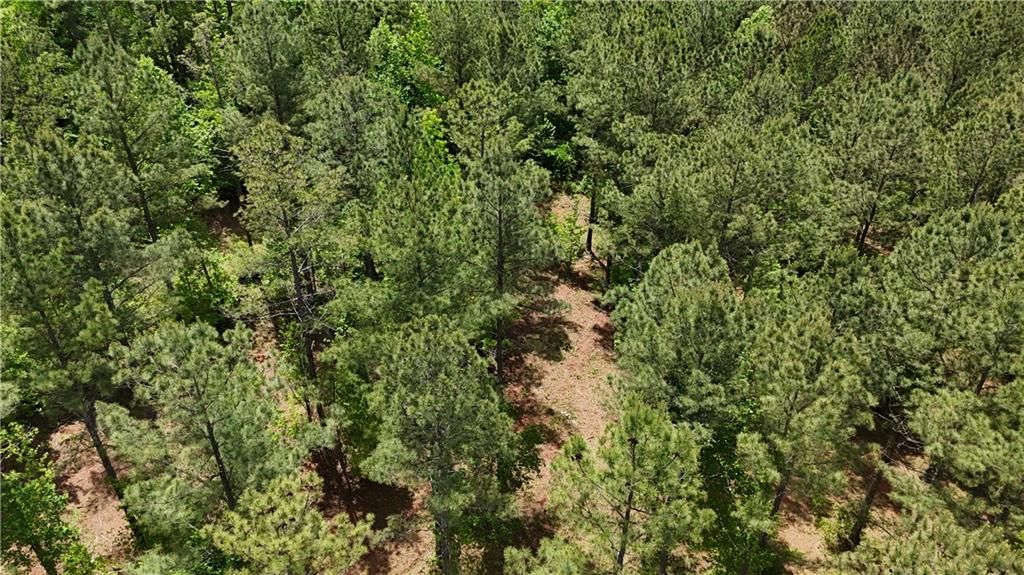 Image 81 of property listing at 00001 Wilson Road, Temple, GA 30179