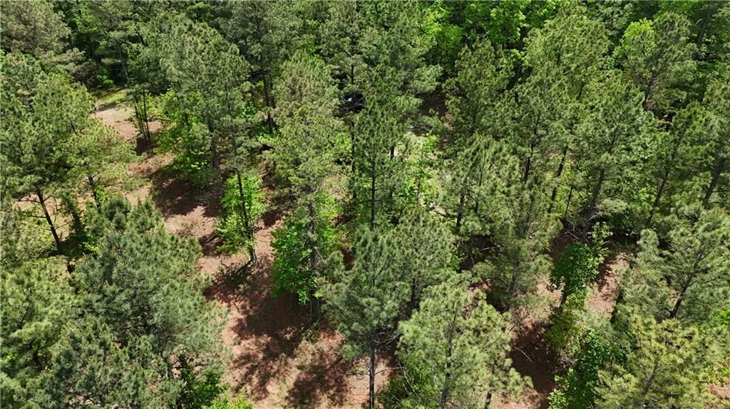 Image 82 of property listing at 00001 Wilson Road, Temple, GA 30179