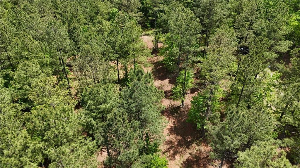Image 83 of property listing at 00001 Wilson Road, Temple, GA 30179
