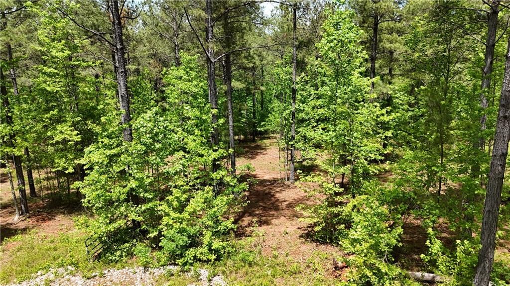 Image 86 of property listing at 00001 Wilson Road, Temple, GA 30179