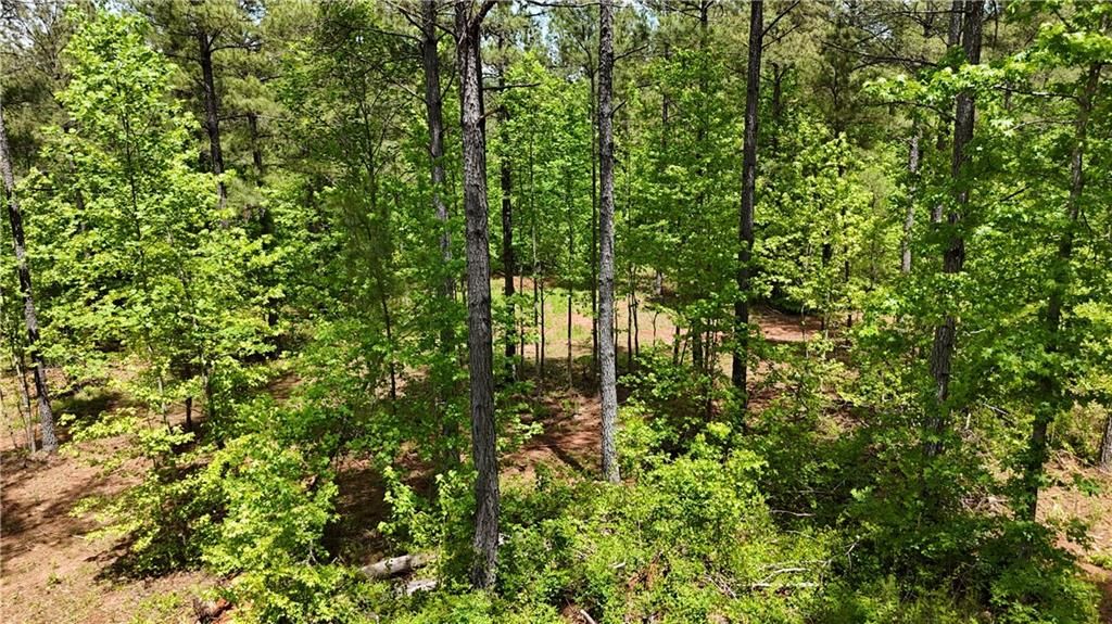 Image 87 of property listing at 00001 Wilson Road, Temple, GA 30179