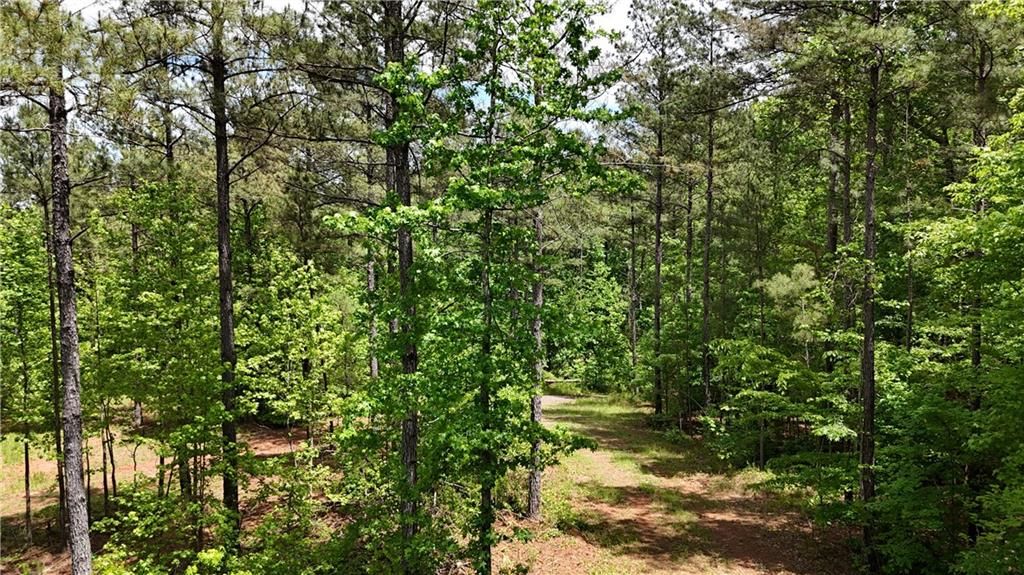 Image 88 of property listing at 00001 Wilson Road, Temple, GA 30179
