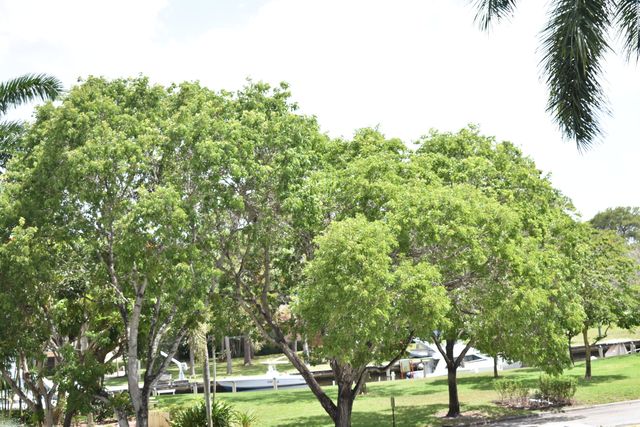 1101 River Reach Drive 212, Fort Lauderdale, FL 33315