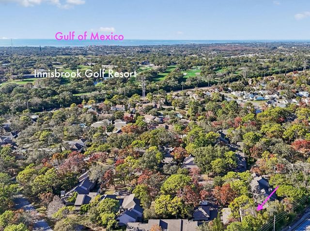 401 OLD MILL POND ROAD, Palm Harbor, FL 34683