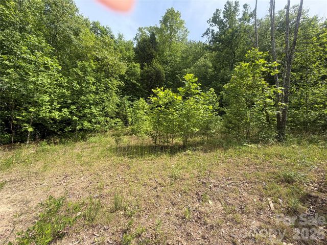 1411 Cedar Creek Road, Lake Lure, NC 28746
