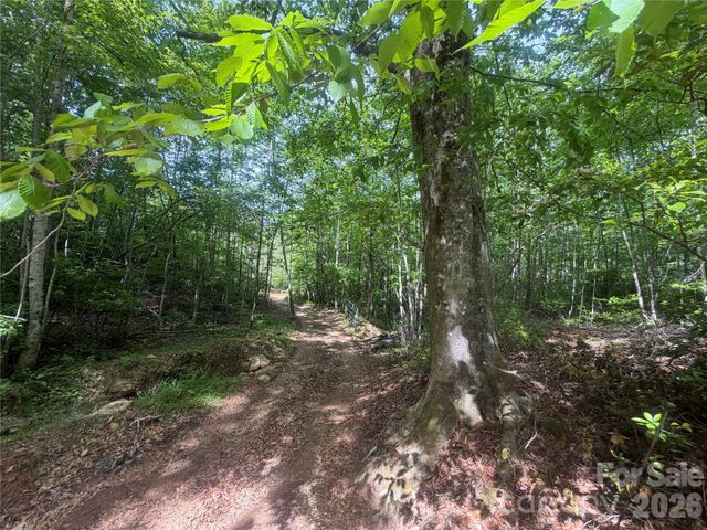 1411 Cedar Creek Road, Lake Lure, NC 28746