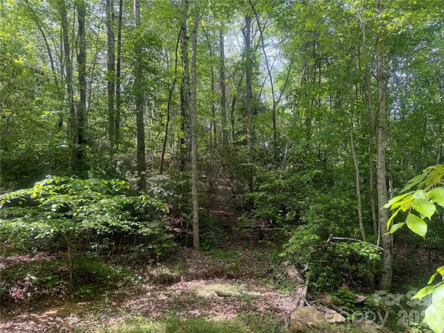 1411 Cedar Creek Road, Lake Lure, NC 28746