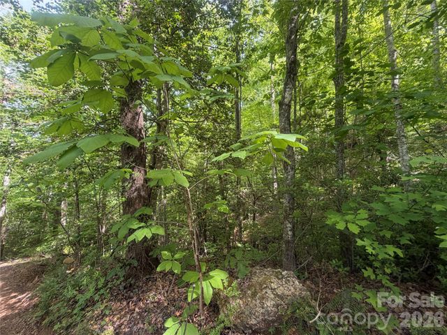 1411 Cedar Creek Road, Lake Lure, NC 28746