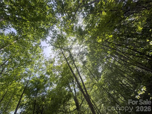 1411 Cedar Creek Road, Lake Lure, NC 28746