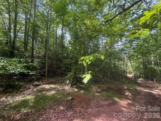 1411 Cedar Creek Road, Lake Lure, NC 28746