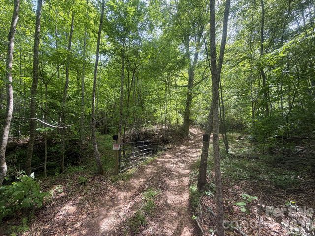 1411 Cedar Creek Road, Lake Lure, NC 28746