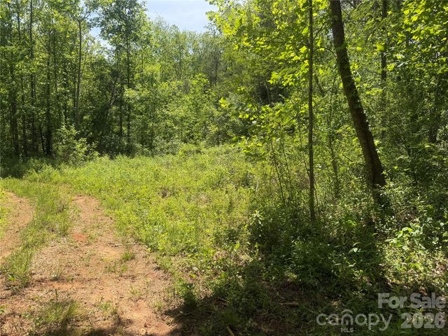 1411 Cedar Creek Road, Lake Lure, NC 28746
