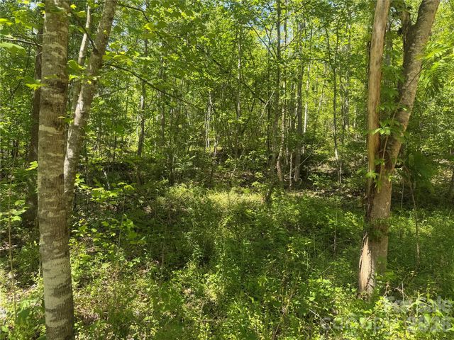 1411 Cedar Creek Road, Lake Lure, NC 28746