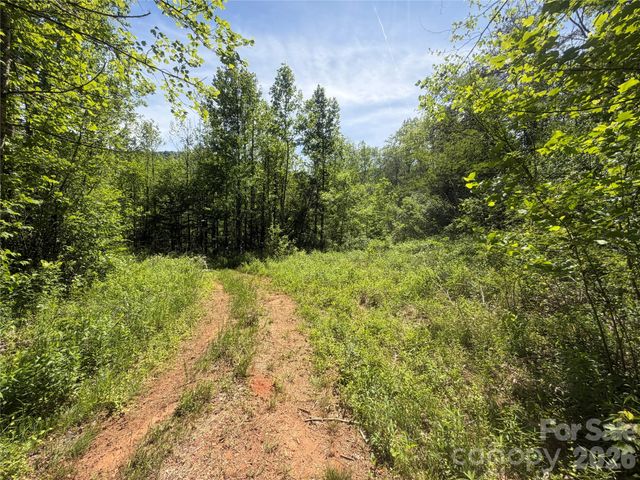 1411 Cedar Creek Road, Lake Lure, NC 28746