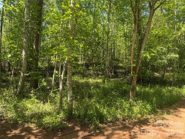 1411 Cedar Creek Road, Lake Lure, NC 28746