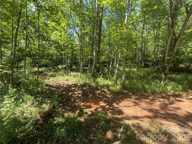 1411 Cedar Creek Road, Lake Lure, NC 28746