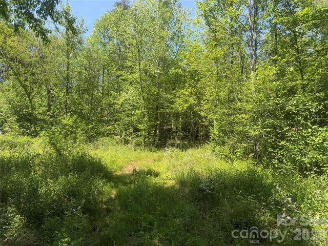 1411 Cedar Creek Road, Lake Lure, NC 28746