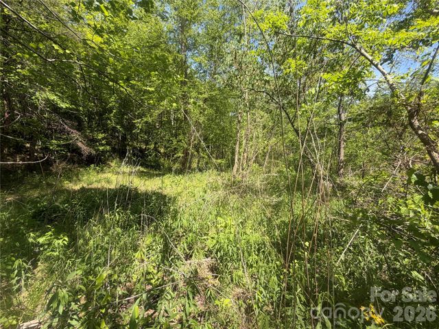 1411 Cedar Creek Road, Lake Lure, NC 28746