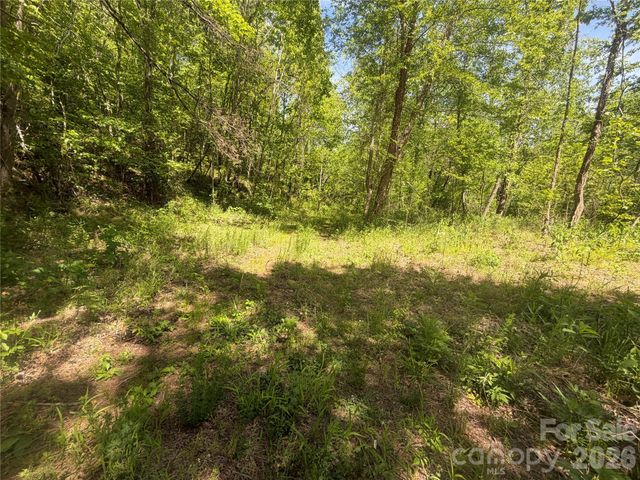 1411 Cedar Creek Road, Lake Lure, NC 28746