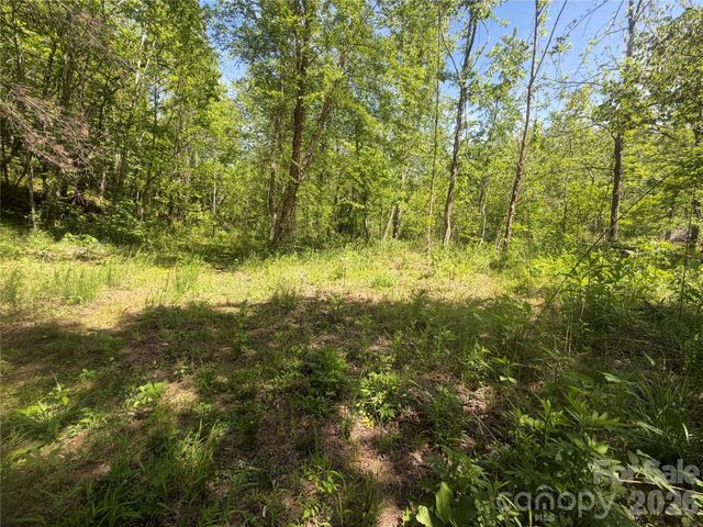 1411 Cedar Creek Road, Lake Lure, NC 28746