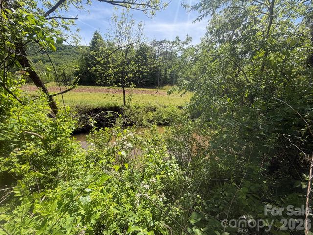 1411 Cedar Creek Road, Lake Lure, NC 28746