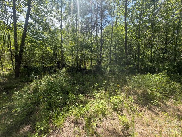 1411 Cedar Creek Road, Lake Lure, NC 28746