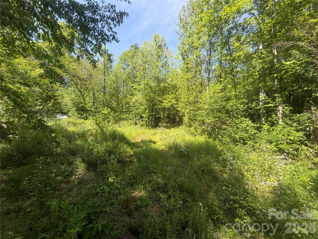 1411 Cedar Creek Road, Lake Lure, NC 28746