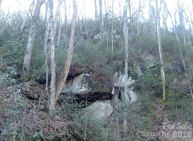 1411 Cedar Creek Road, Lake Lure, NC 28746