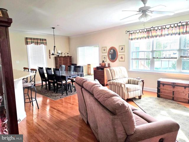 29770 CAPTAIN ADAMOUSKI ST, Easton, MD 21601
