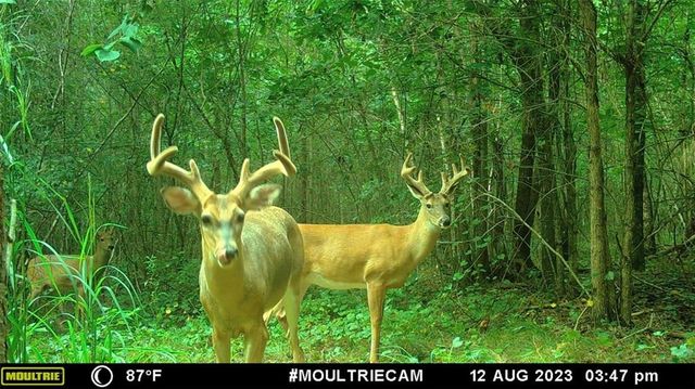 742 Harmony Gates Drive, Commerce, GA 30530