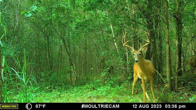 742 Harmony Gates Drive, Commerce, GA 30530