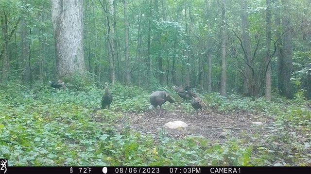 742 Harmony Gates Drive, Commerce, GA 30530