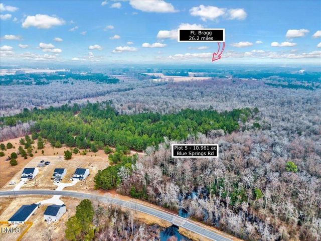 Lot 5 Blue Springs Road, Red Springs, NC 28377