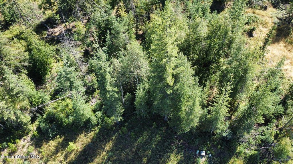 113 Trail Blazer Ct., Pinehurst, ID 83850 photo 3