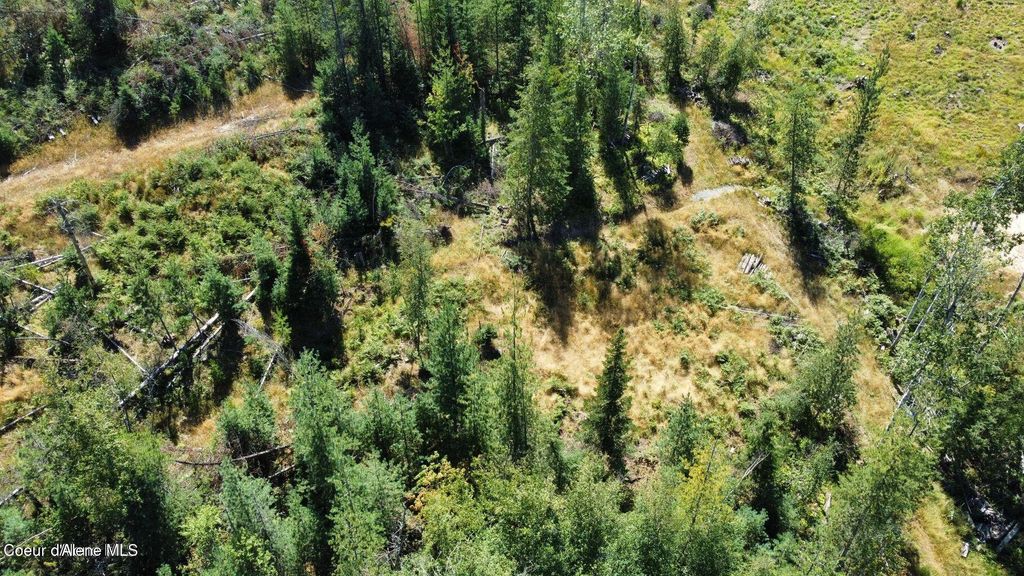 113 Trail Blazer Ct., Pinehurst, ID 83850 photo 4