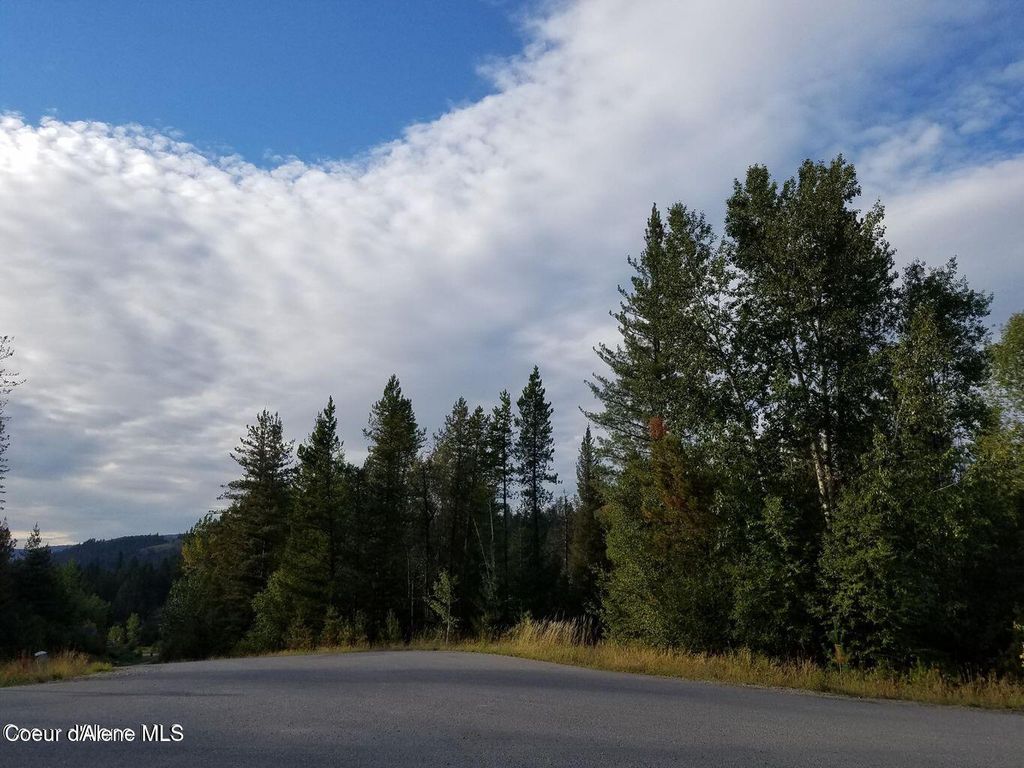 113 Trail Blazer Ct., Pinehurst, ID 83850 photo 6