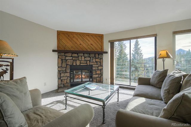 9825 Ryan Gulch Road 201, Silverthorne, CO 80498