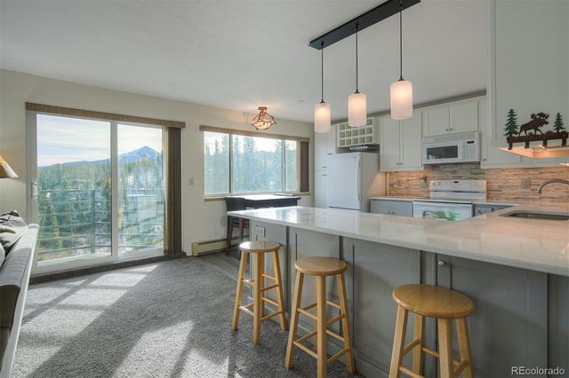 9825 Ryan Gulch Road 201, Silverthorne, CO 80498