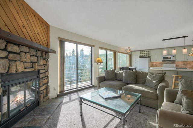 9825 Ryan Gulch Road 201, Silverthorne, CO 80498