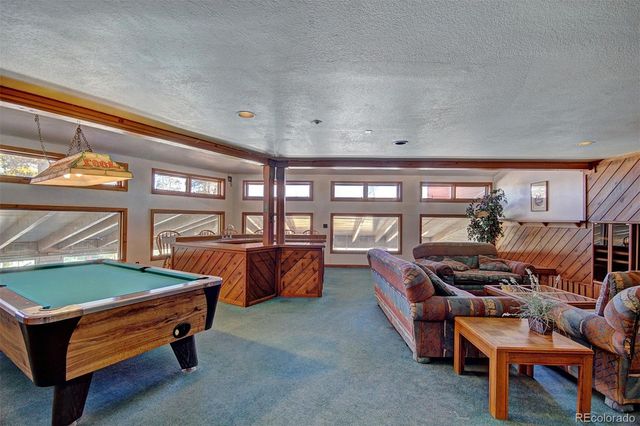 9825 Ryan Gulch Road 201, Silverthorne, CO 80498