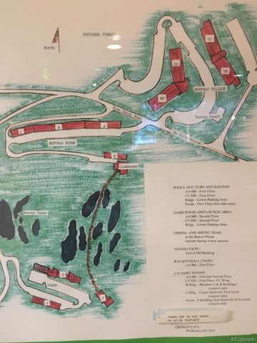 9825 Ryan Gulch Road 201, Silverthorne, CO 80498