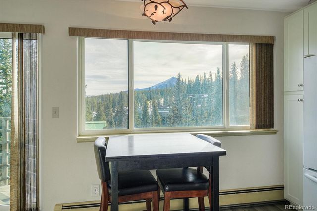 9825 Ryan Gulch Road 201, Silverthorne, CO 80498