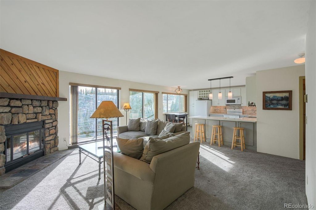 9825 Ryan Gulch Road 201, Silverthorne, CO 80498