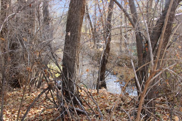110 Mabel Dodge Lane Unit A and B Lane, Taos, NM 87571