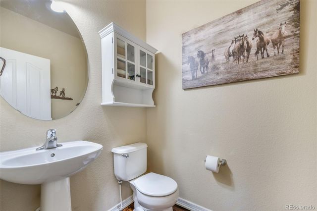 13867 Antelope Pass Place, Colorado Springs, CO 80921