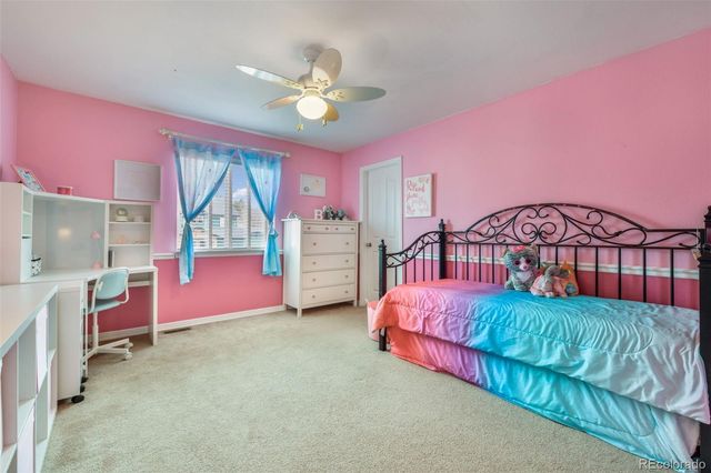 13867 Antelope Pass Place, Colorado Springs, CO 80921