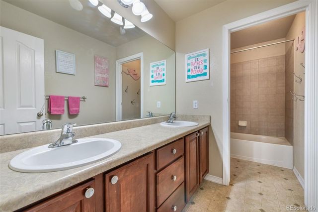 13867 Antelope Pass Place, Colorado Springs, CO 80921