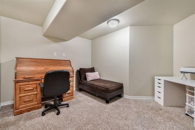 13867 Antelope Pass Place, Colorado Springs, CO 80921